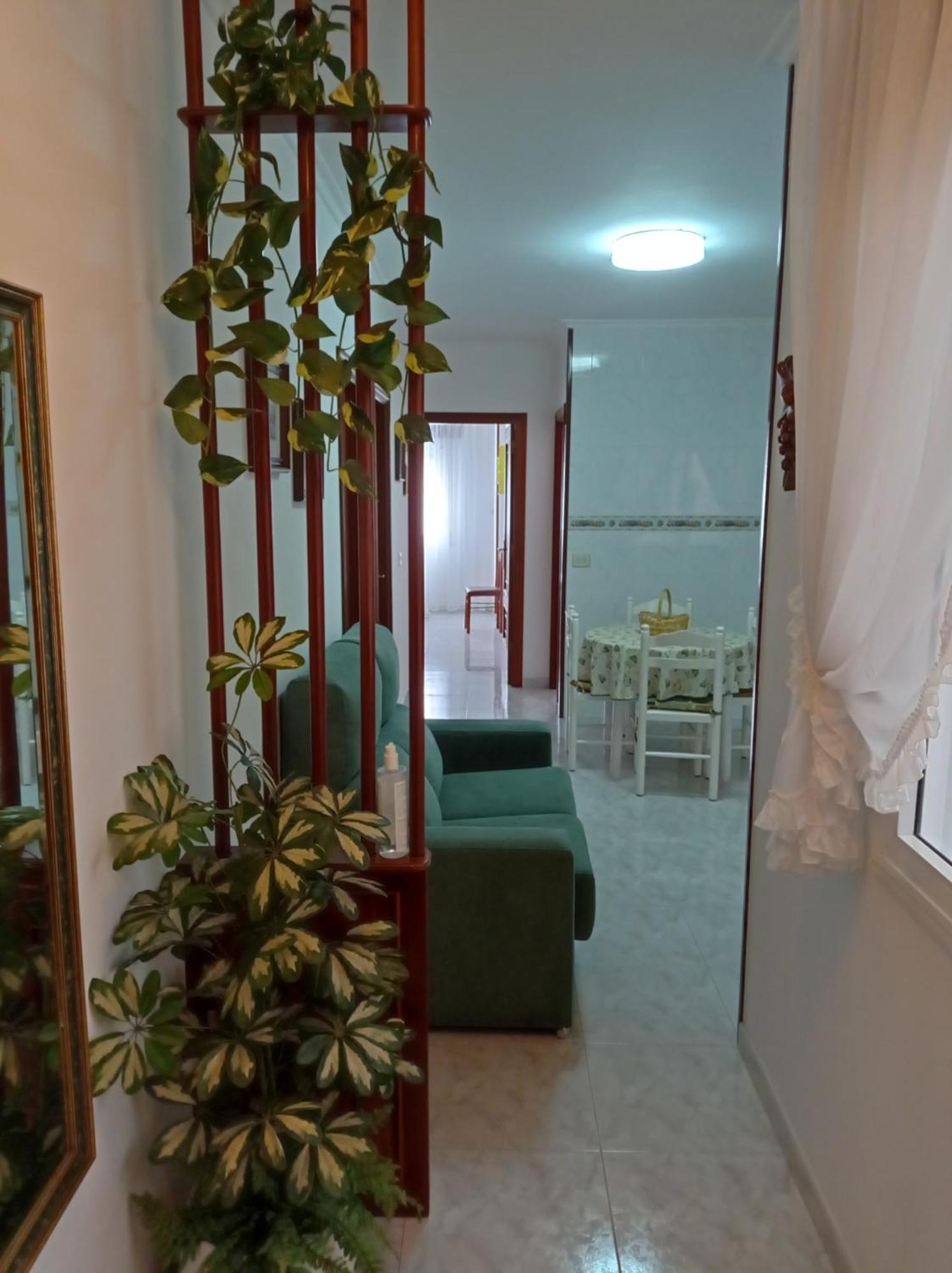 Acogedor Apartamento Centrico Apartment O Grove Luaran gambar
